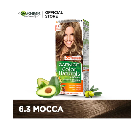 Garnier - Color Naturals Hair Colors - 6.3 Golden Light Brown